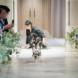 ニーズ青山 by T&G WEDDING の写真19枚目