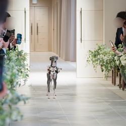 ニーズ青山 by T&G WEDDING の写真20枚目