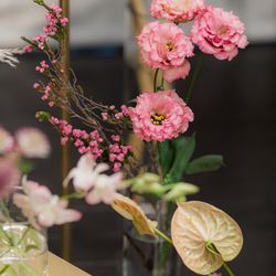 SOLA KOBEの写真21枚目