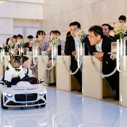 ノートルダム神戸の写真36枚目