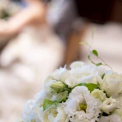 ベル・カシェットの写真35枚目