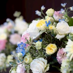 ベル・カシェットの写真3枚目