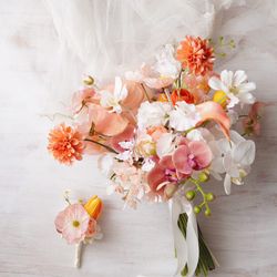 SOLA KOBEの写真4枚目