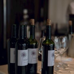 The Place of Tokyoの写真27枚目