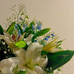 GRADATIONSの写真30枚目