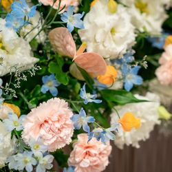 GRADATIONSの写真16枚目