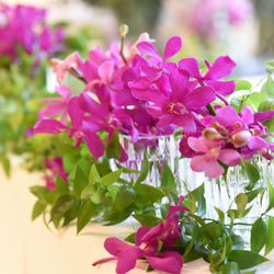 恵比寿Duo DOMOの写真17枚目