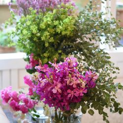 恵比寿Duo DOMOの写真5枚目