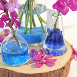 恵比寿Duo DOMOの写真8枚目