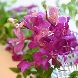 恵比寿Duo DOMOの写真7枚目