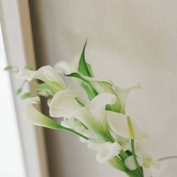 ルーキスの写真6枚目