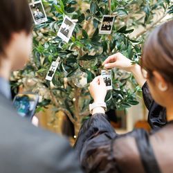 シャルマンシーナ東京の写真29枚目