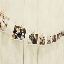 シャルマンシーナ東京の写真28枚目