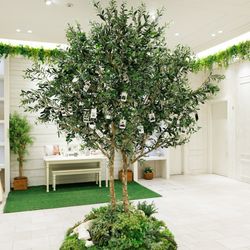 シャルマンシーナ東京の写真18枚目