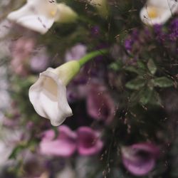 フェアモント東京の写真7枚目