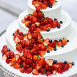 ベイサイド迎賓館 鹿児島の写真14枚目