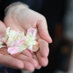 グランドニッコー東京 台場の写真8枚目