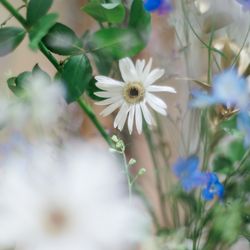 アニヴェルセル 表参道の写真36枚目