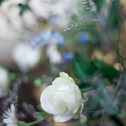 アニヴェルセル 表参道の写真12枚目