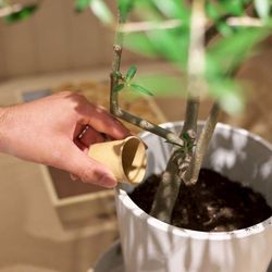 ラグナヴェール 金沢の写真23枚目