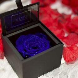 ラグナヴェール 金沢の写真26枚目