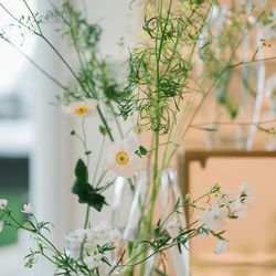 オーシャンプレイスの写真30枚目