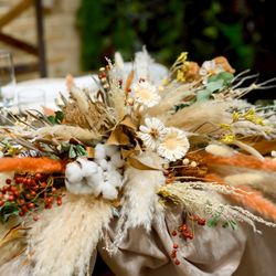 エレガンテヴィータの写真7枚目