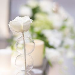 ウェディングスホテル・ベルクラシック東京の写真19枚目