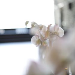 SOLA KOBEの写真19枚目