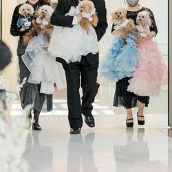 アヴァンセリアン大阪の写真8枚目