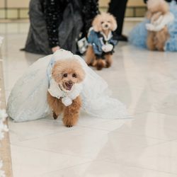 アヴァンセリアン大阪の写真4枚目