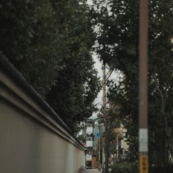 THE SORAKUEN の写真30枚目