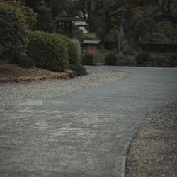 THE SORAKUEN の写真33枚目
