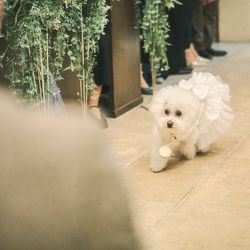 アンジェパティオの写真2枚目