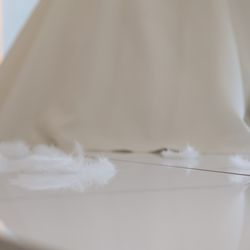 ララシャンスガーデン 東京ベイの写真1枚目