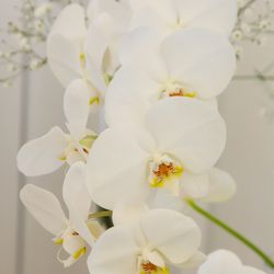 ストリングスホテル名古屋の写真1枚目