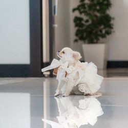 ニーズ常滑 by T&G WEDDING の写真2枚目