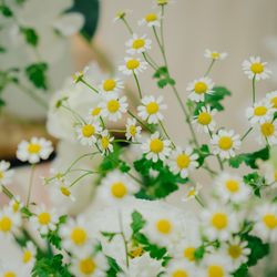 アニヴェルセル 表参道の写真16枚目