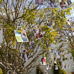 アーククラブ迎賓館 水戸の写真29枚目