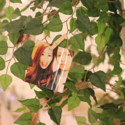 オーシャンテラスの写真9枚目