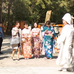 下鴨神社の写真2枚目