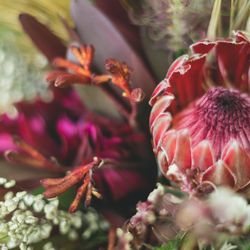 古我邸の写真33枚目