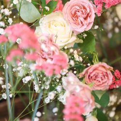 TRUNK BY SHOTO GALLERYの写真23枚目