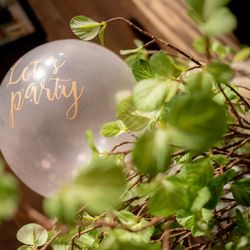 クアンティックの写真26枚目