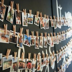 クアンティックの写真11枚目