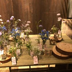 クアンティックの写真3枚目