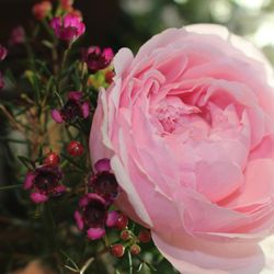 クラシカ表参道の写真10枚目