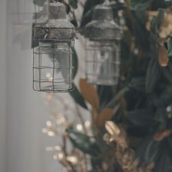 クアンティックの写真19枚目