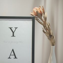 クアンティックの写真29枚目