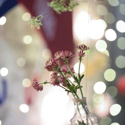 TRUNK BY SHOTO GALLERYの写真25枚目